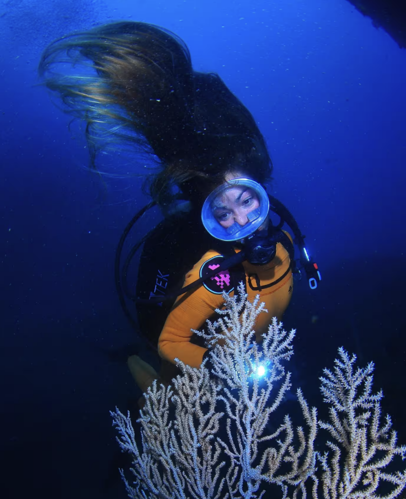 Pura Vida Scuba Diving​